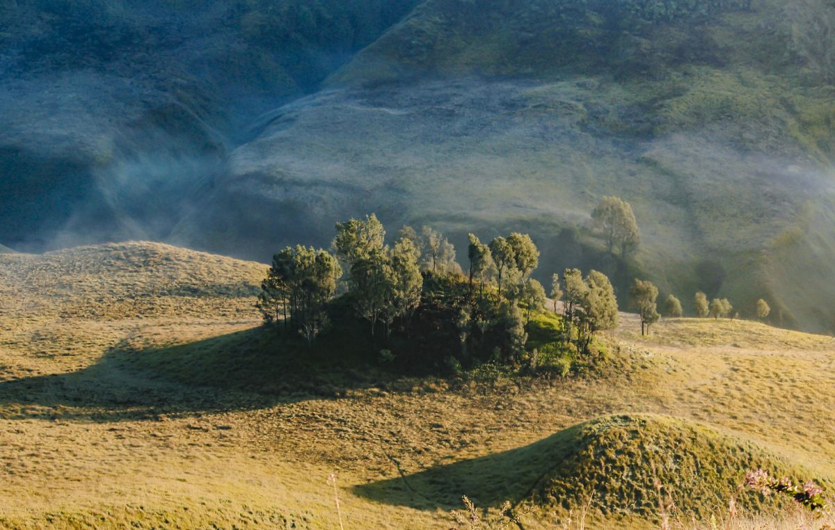 Savana Teletubbies Bromo