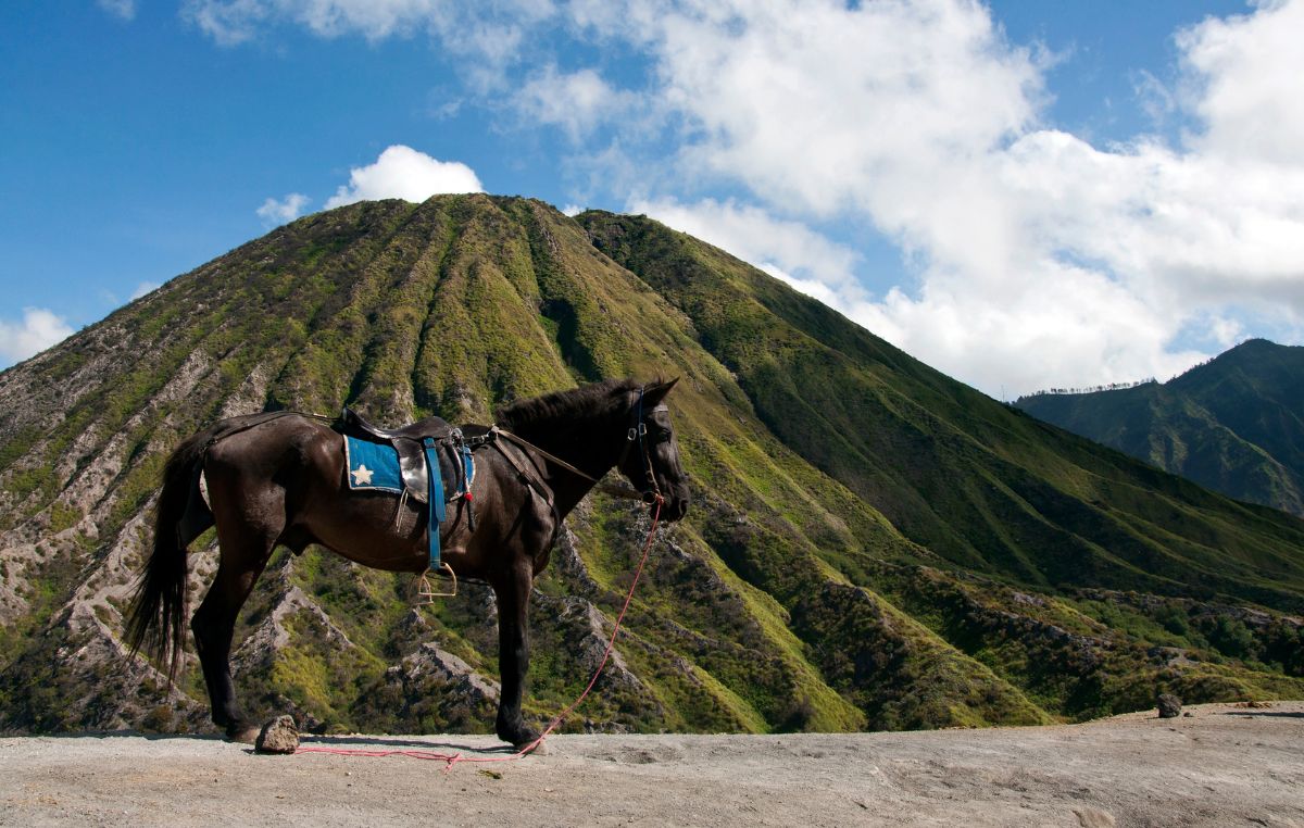 Gunung Batok Bromo